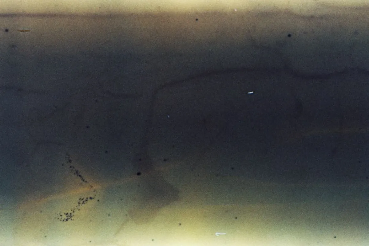 film grain
